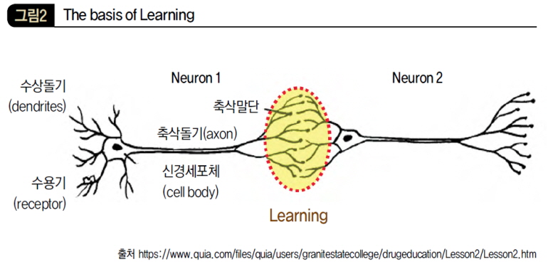 The basis of Learning