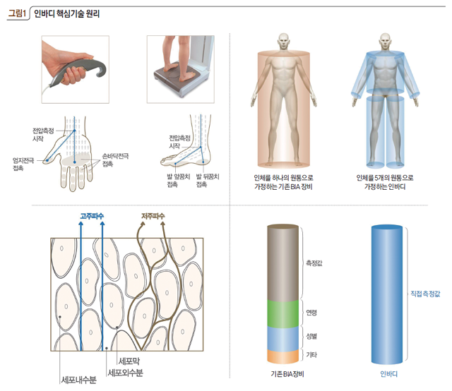[그림1] 인바디 핵심기술 원리