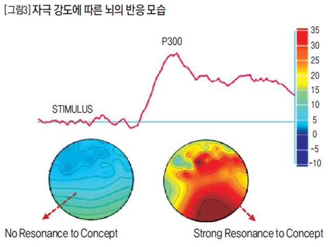 자극 강도에 따른 뇌의 반응 모습