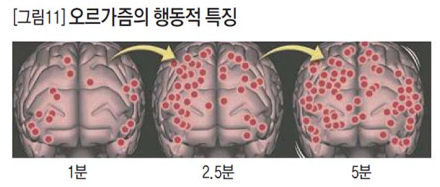 [그림11] 오르가즘의 행동적 특징