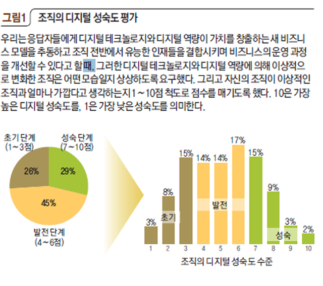 그림1 조직의 디지털 성숙도 평가