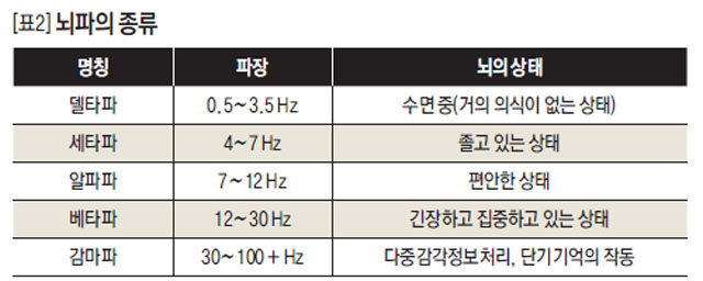 인간을 읽는 뇌과학, 마케팅과 만나다