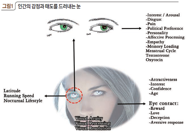 인간의 감정과 태도를 드러내는 눈