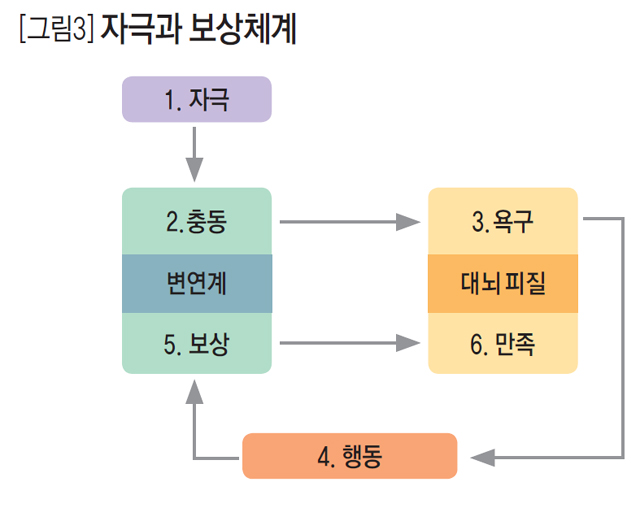 [그림3] 자극과 보상체계