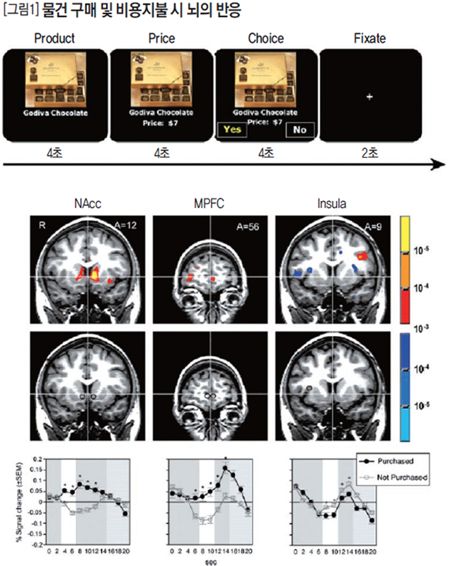 [그림1] 물건 구매 및 비용지불 시 뇌의 반응