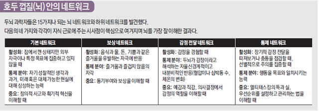 호두 껍질 (뇌)안의 네트워크