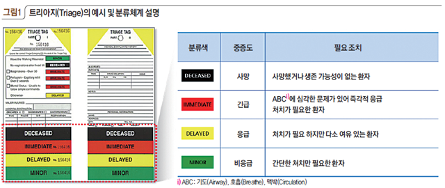트리아지(Triage)의 예시 및 분류체계 설명 