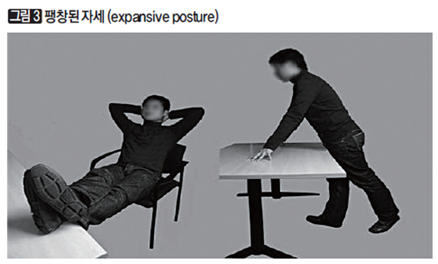 [그림3] 팽창된 자세(expansive posture)