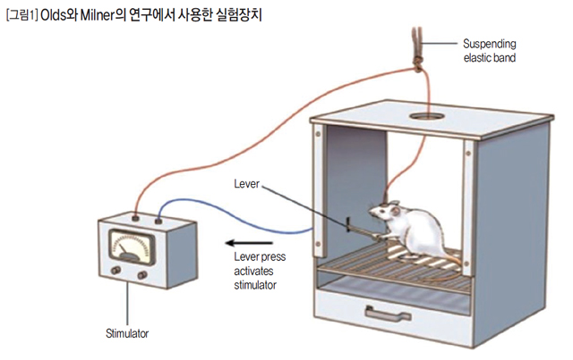 [그림1] Olds와 Milner의 연구에서 사용한 실험장치