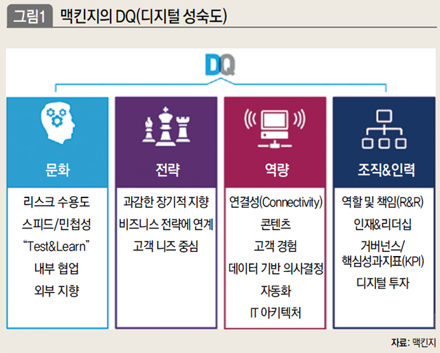 맥킨지의 DQ(디지털 성숙도)