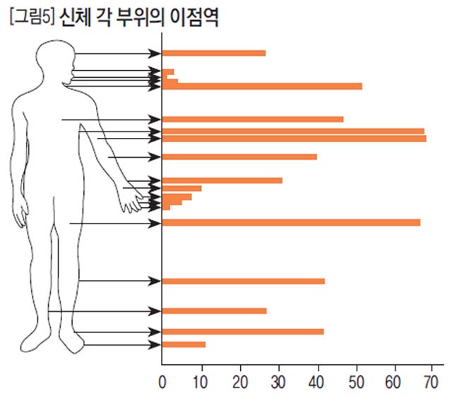 [그림5] 신체 각 부위의 이점역