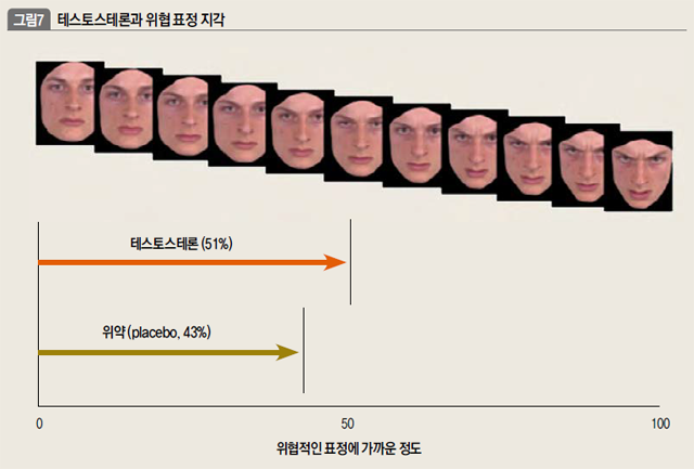 테스토스테론과 위협 표정 지각