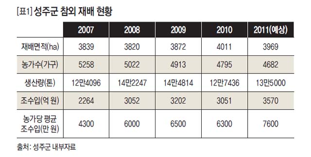 성주군 참외 재배 현황