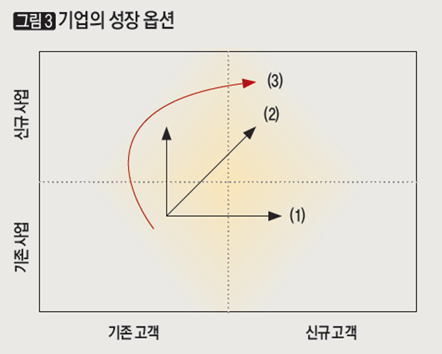 [그림3] 기업의 성장 옵션