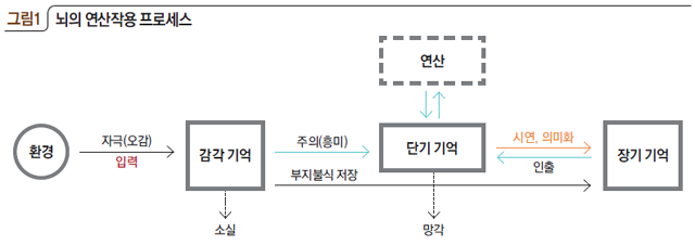 뇌의 연산작용 프로세스