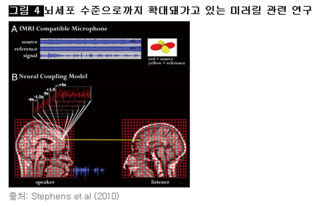 [그림 4] 뇌세포 수준으로까지 확대돼가고 있는 미러링 관련 연구