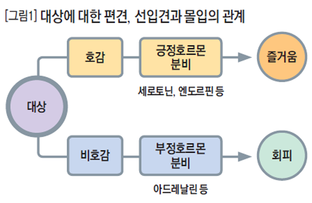 [그림1] 대상에 대한 편견, 선입견과 몰입의 관계
