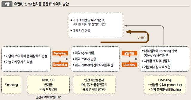 유턴(U-turn)전략을 통한 IP 수익화방안