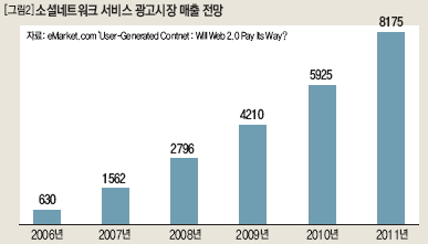 소셜네트워크 서비스 광고시장 매출 전망