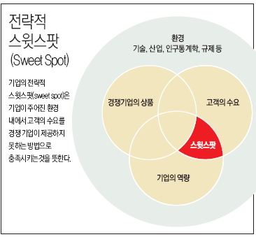 전략적 스윗스팟(Sweet Spot)