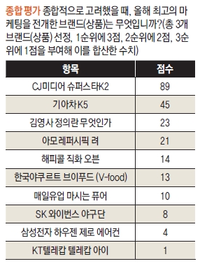2010년 Best Marketing-종합평가