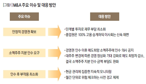 M&A 주요 이슈 및 대응 방안