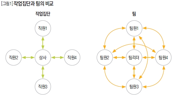 작업집단과 팀의 비교