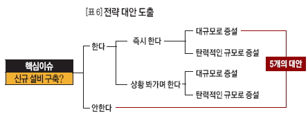 전략 대안 도출