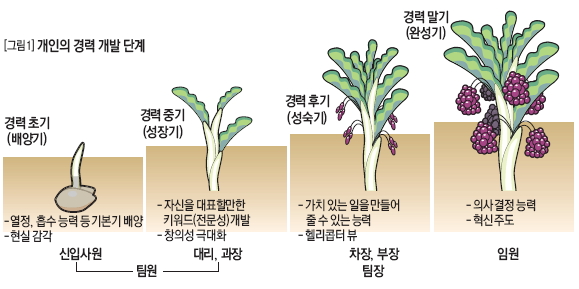 개인의 경력 개발 단계