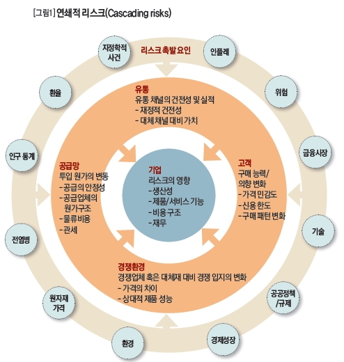 [그림1]연쇄적리스크(Cascading Risks)