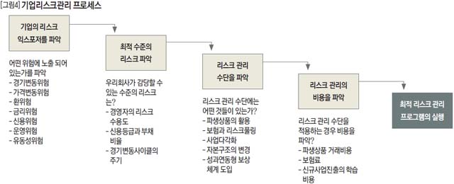 기업리스크관리 프로세스