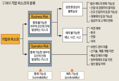 기업 리스크의 분류