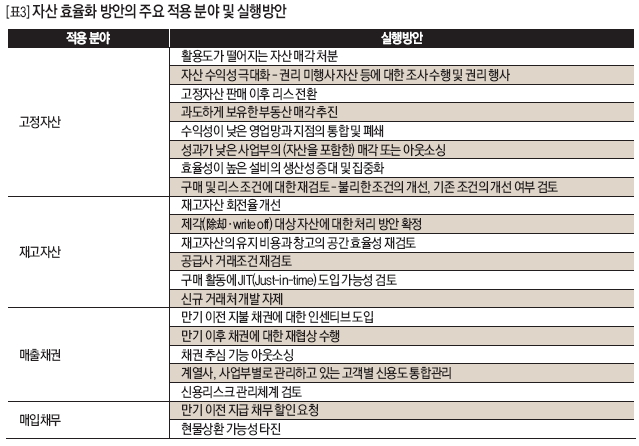 자산 효율화 방안의 주요 적용 분야 및 실행방안