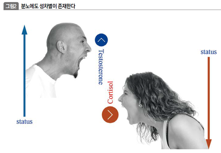 분노에도 성차별이 존재한다