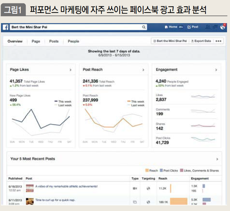 퍼포먼스 마케팅에 자주 쓰이는 페이스북 광고 효과 분석