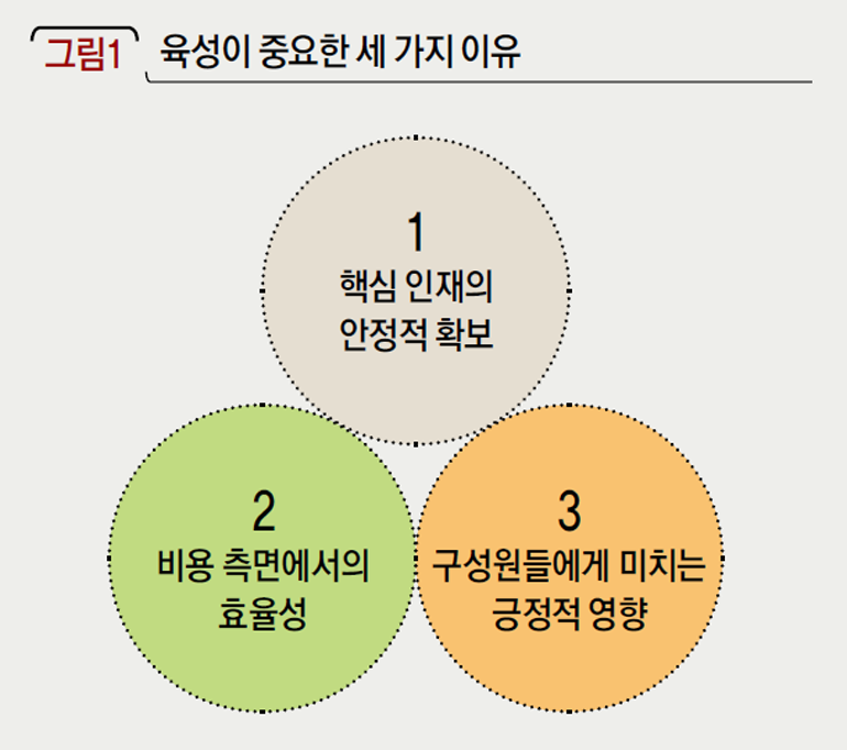 육성이 중요한 세 가지 이유