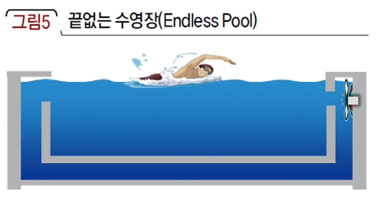 끝없는 수영장(Endless Pool)