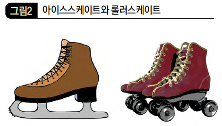 아이스스케이트와 롤러스케이트