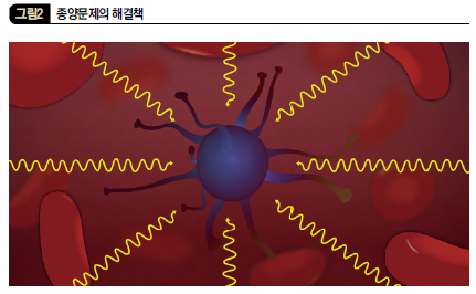 종양문제의 해결책