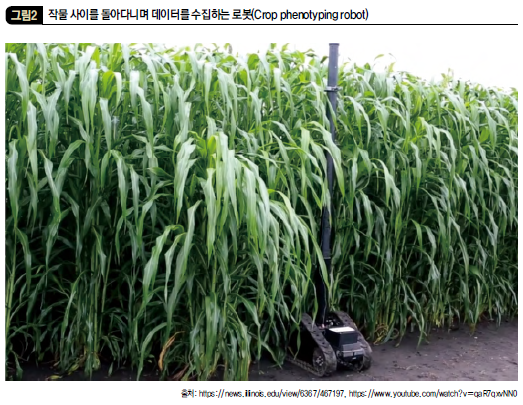 작물 사이를 돌아다니며 데이터를 수집하는 로봇(Crop phenotyping robot)