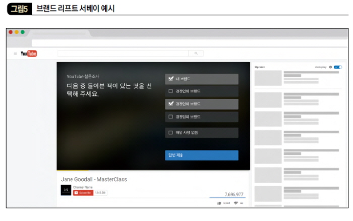 브랜드 리프트 서베이 예시