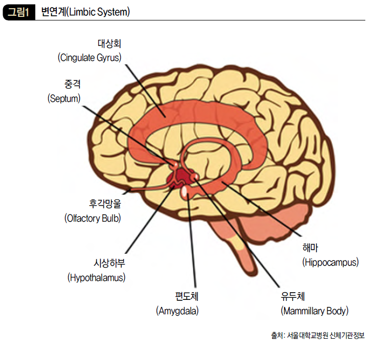 변연계(Limbic System)