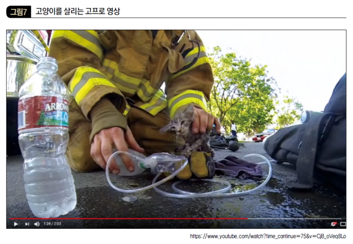 고양이를 살리는 고 프로 영상