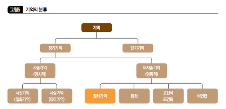 기억의 분류