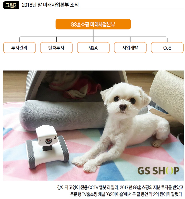 2018년 말 미래사업본부 조직
