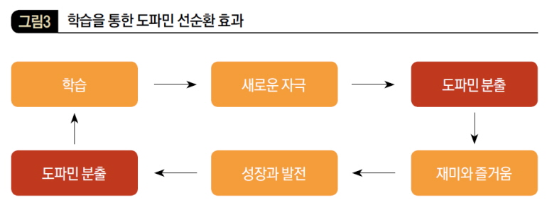 학습을 통한 도파민 선순환 효과