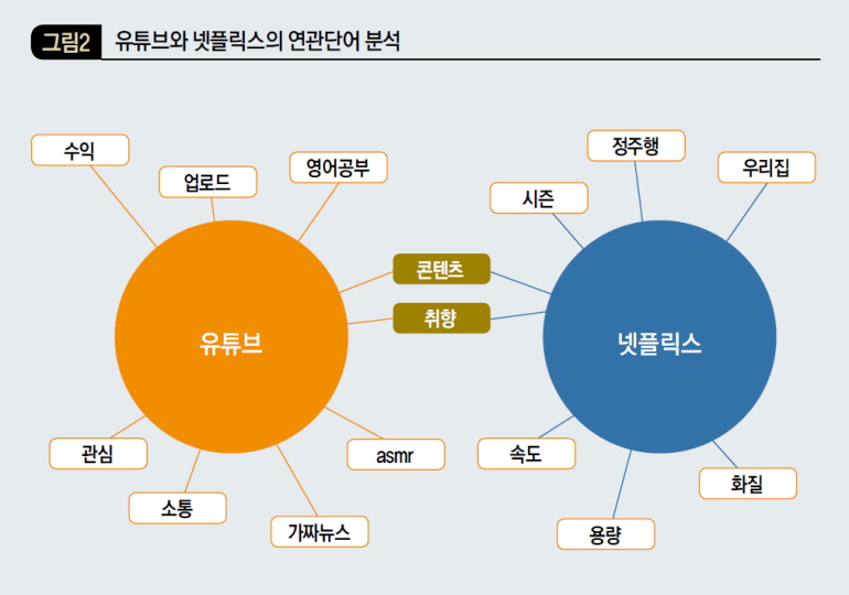 유튜브와 넷플릭스의 연관단어 분석