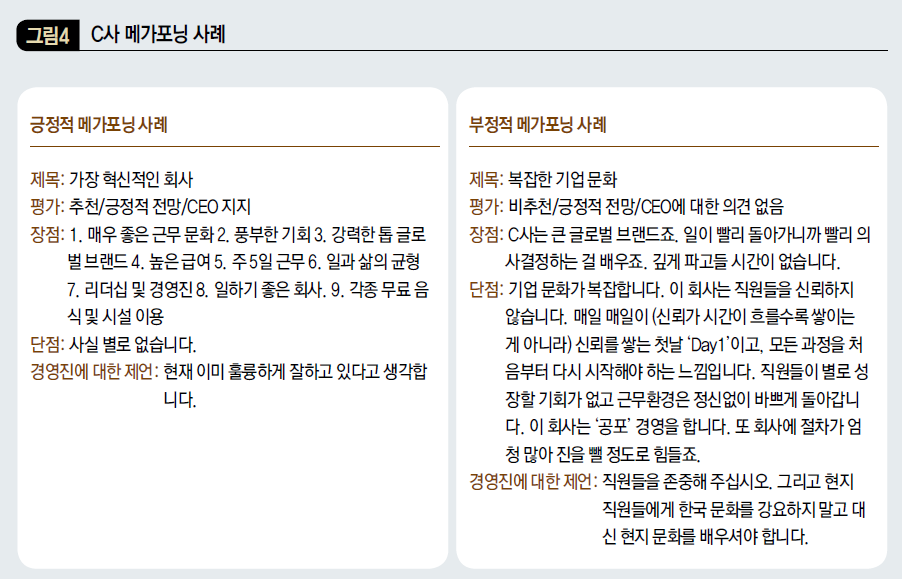C사 메가포닝 사례