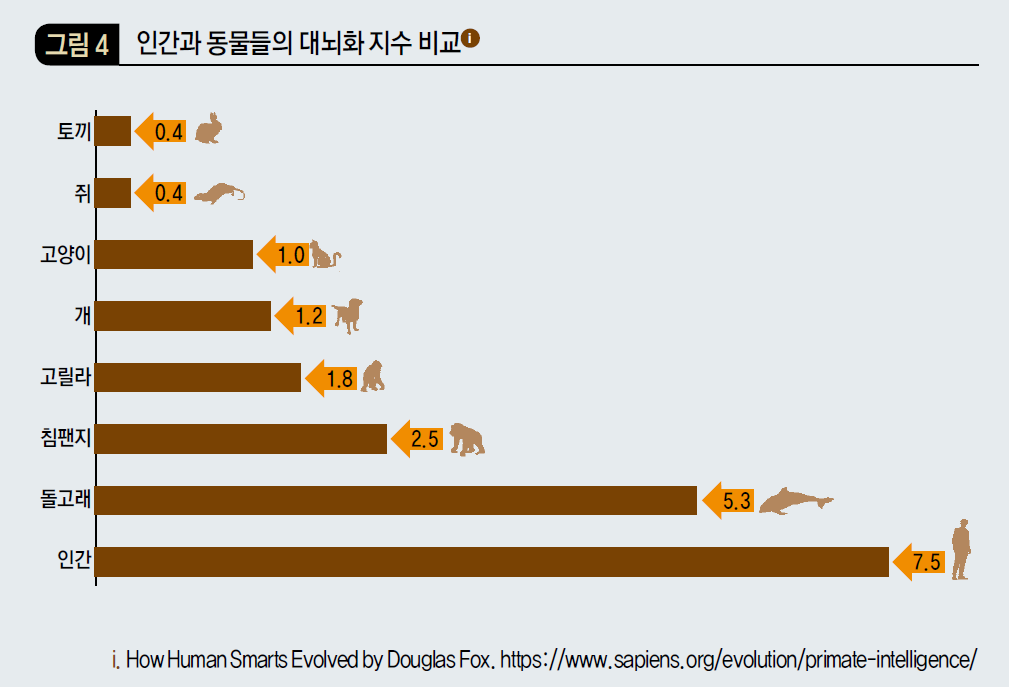 인간과 동물들의 대뇌화 지수 비교