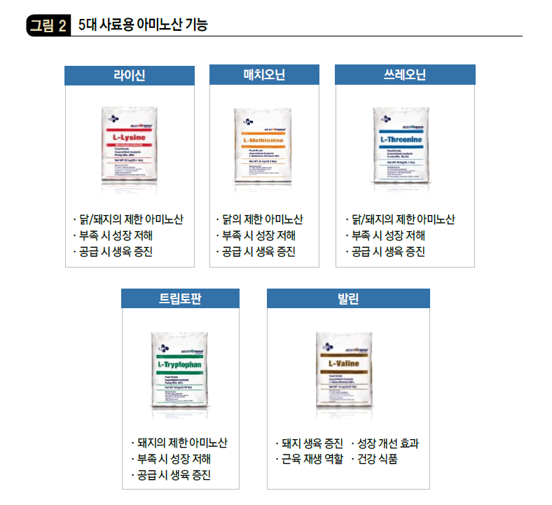 5대 사료용 아미노산 기능